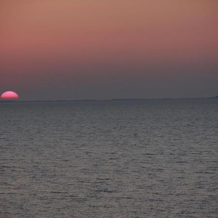 Petit Nid A 50M De La Plage Au Coeur De ฟูราส ภายนอก รูปภาพ